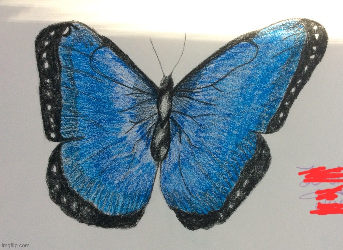 image tagged in butterfly,art,drawings,colors | made w/ Imgflip meme maker