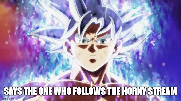 Ultra Instinct | SAYS THE ONE WHO FOLLOWS THE HORNY STREAM | image tagged in ultra instinct | made w/ Imgflip meme maker