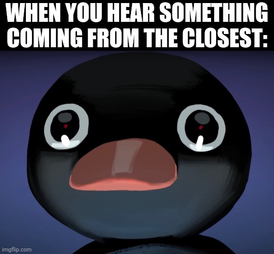 Time to have a heart attack | WHEN YOU HEAR SOMETHING COMING FROM THE CLOSEST: | image tagged in pingu stare | made w/ Imgflip meme maker