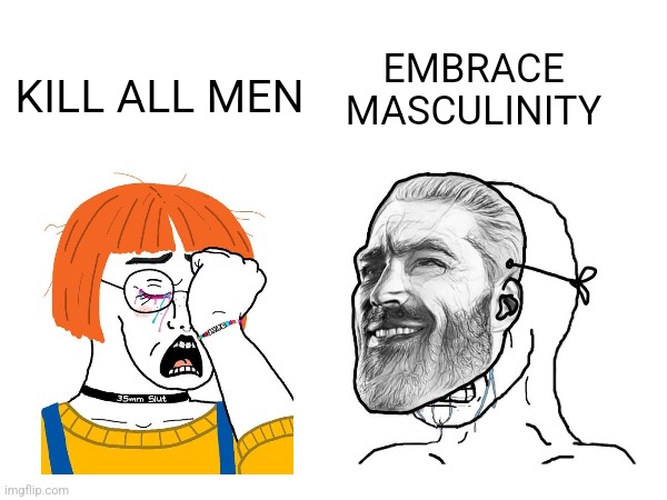 TikTok Girls vs YouTube Men be like | EMBRACE MASCULINITY; KILL ALL MEN | made w/ Imgflip meme maker