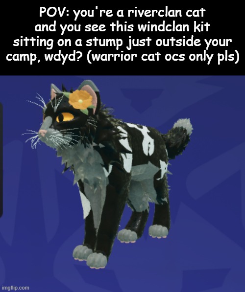 mmmmmm clan of the wind kit | POV: you're a riverclan cat and you see this windclan kit sitting on a stump just outside your camp, wdyd? (warrior cat ocs only pls) | made w/ Imgflip meme maker