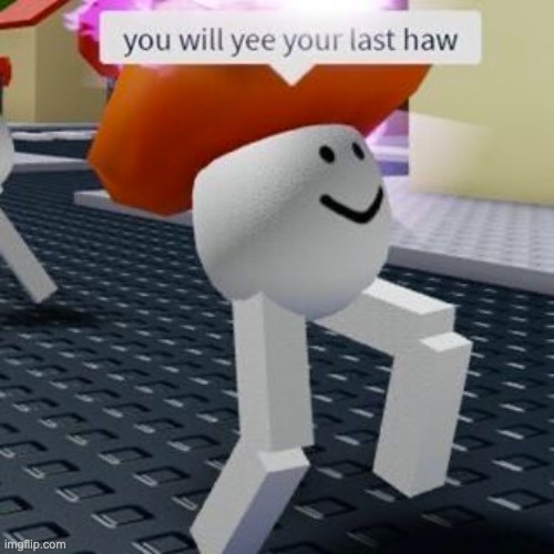 you will yee your last haw | image tagged in roblox,roblox meme,memes,funny,cursed,cursed roblox image | made w/ Imgflip meme maker