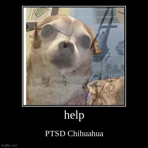 PTSD | image tagged in funny,demotivationals | made w/ Imgflip demotivational maker