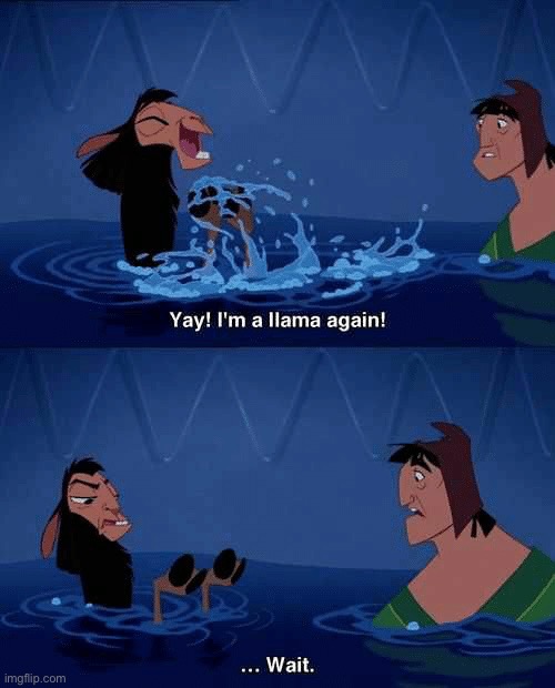 image tagged in llama,wait,yay,the emperors new groove | made w/ Imgflip meme maker