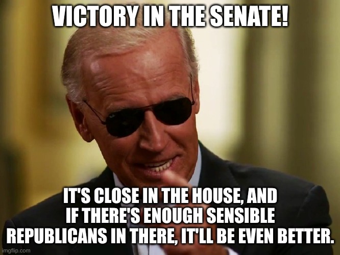 Cool Joe Biden | VICTORY IN THE SENATE! IT'S CLOSE IN THE HOUSE, AND IF THERE'S ENOUGH SENSIBLE REPUBLICANS IN THERE, IT'LL BE EVEN BETTER. | image tagged in cool joe biden,victory in the senate,bye bye donald | made w/ Imgflip meme maker