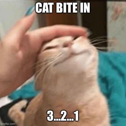 Cat bite | CAT BITE IN; 3…2…1 | image tagged in pet the cat | made w/ Imgflip meme maker