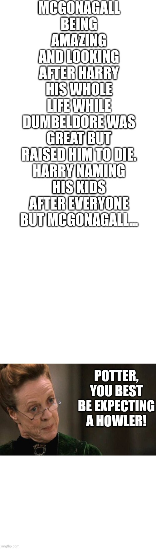 McGonagall deserves better :( | MCGONAGALL BEING AMAZING AND LOOKING AFTER HARRY HIS WHOLE LIFE WHILE DUMBELDORE WAS GREAT BUT RAISED HIM TO DIE.

HARRY NAMING HIS KIDS AFTER EVERYONE BUT MCGONAGALL... POTTER, YOU BEST BE EXPECTING A HOWLER! | image tagged in long blank white template | made w/ Imgflip meme maker