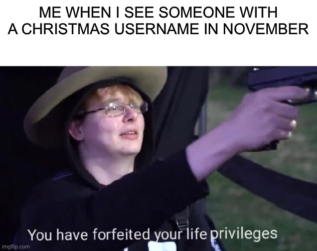 i have very strong opinions on this | ME WHEN I SEE SOMEONE WITH A CHRISTMAS USERNAME IN NOVEMBER | image tagged in you have forfeited life privileges,christmas,november | made w/ Imgflip meme maker