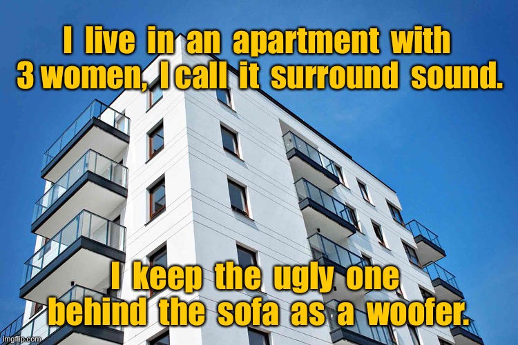 Apartment living | I  live  in  an  apartment  with  3 women,  I call  it  surround  sound. I  keep  the  ugly  one  behind  the  sofa  as  a  woofer. | image tagged in apartment block,living with 3 women,surround sound,ugly one a sub woofer,fun | made w/ Imgflip meme maker