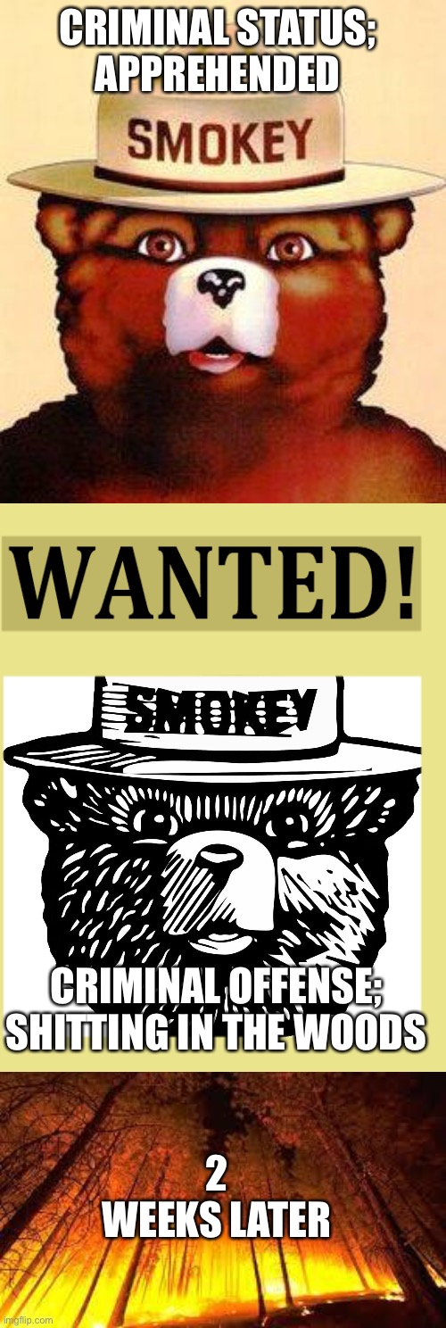 CRIMINAL STATUS; 
APPREHENDED; CRIMINAL OFFENSE;
SHITTING IN THE WOODS; 2 WEEKS LATER | image tagged in smokey the bear,the smokey bear,forest fire | made w/ Imgflip meme maker