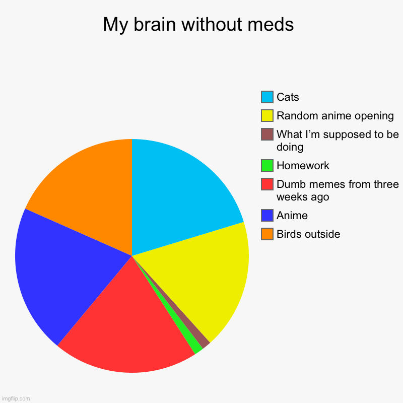 My brain without meds | Birds outside, Anime, Dumb memes from three weeks ago, Homework, What I’m supposed to be doing, Random anime opening | image tagged in charts,pie charts | made w/ Imgflip chart maker