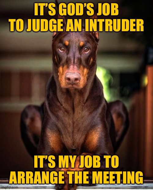 God will judge | IT’S GOD’S JOB TO JUDGE AN INTRUDER; IT’S MY JOB TO ARRANGE THE MEETING | image tagged in doberman,god will judge,his job,my job | made w/ Imgflip meme maker