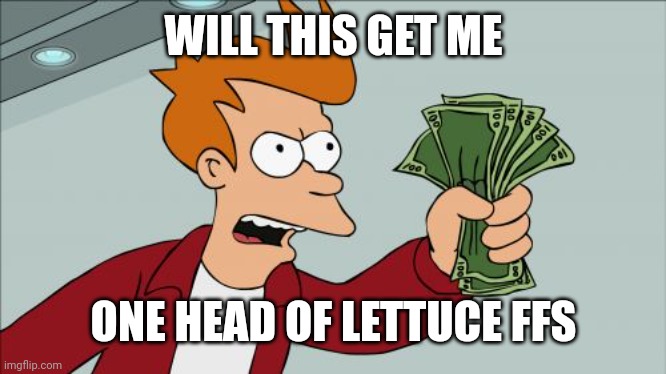 Shut Up And Take My Money Fry | WILL THIS GET ME; ONE HEAD OF LETTUCE FFS | image tagged in memes,shut up and take my money fry | made w/ Imgflip meme maker