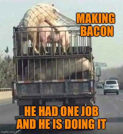 Making bacon | MAKING  BACON; HE HAD ONE JOB
AND HE IS DOING IT | image tagged in making bacon,he had one job,he is doing it,you had one job | made w/ Imgflip meme maker