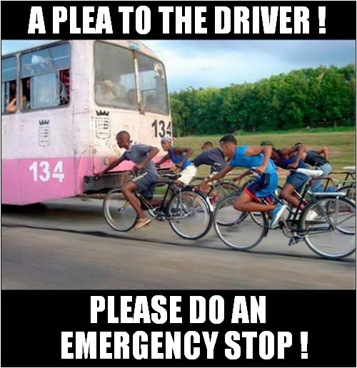 Wish Hard  And Your Dreams Will Come True ! | A PLEA TO THE DRIVER ! PLEASE DO AN
  EMERGENCY STOP ! | image tagged in bus driver,cycling,please stop,dark humour | made w/ Imgflip meme maker