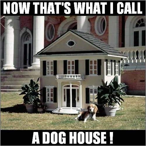 Living In Luxury ! | NOW THAT'S WHAT I CALL; A DOG HOUSE ! | image tagged in dogs,luxury,kennel | made w/ Imgflip meme maker