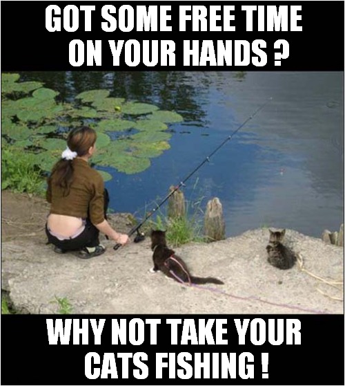 There's Nothing Like Fresh Fish ! | GOT SOME FREE TIME
  ON YOUR HANDS ? WHY NOT TAKE YOUR
 CATS FISHING ! | image tagged in cats,fishing | made w/ Imgflip meme maker