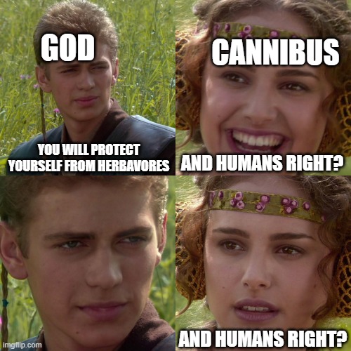 Anakin Padme 4 Panel | GOD; CANNIBUS; YOU WILL PROTECT YOURSELF FROM HERBAVORES; AND HUMANS RIGHT? AND HUMANS RIGHT? | image tagged in anakin padme 4 panel | made w/ Imgflip meme maker