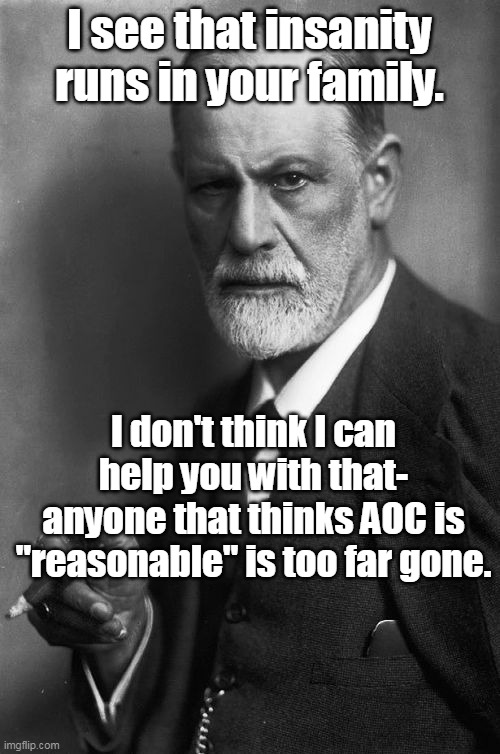 Sigmund Freud Meme | I see that insanity runs in your family. I don't think I can help you with that- anyone that thinks AOC is "reasonable" is too far gone. | image tagged in memes,sigmund freud | made w/ Imgflip meme maker