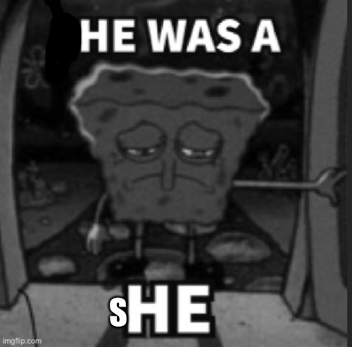 She was a he | S | image tagged in she was a he | made w/ Imgflip meme maker