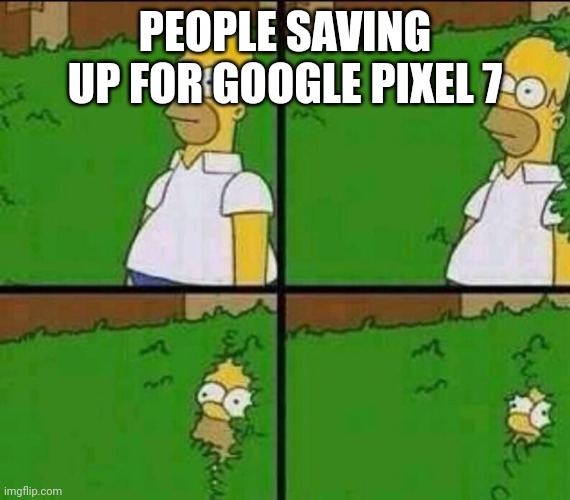 Homer Simpson in Bush - Large | PEOPLE SAVING UP FOR GOOGLE PIXEL 7 | image tagged in homer simpson in bush - large | made w/ Imgflip meme maker