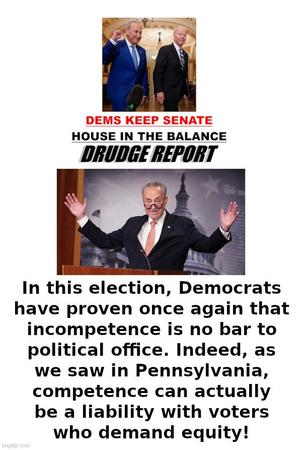 Incompetence Is No Bar To Office! | image tagged in chuck schumer,democrats,john fetterman,joe biden,incompetence,rigged elections | made w/ Imgflip meme maker