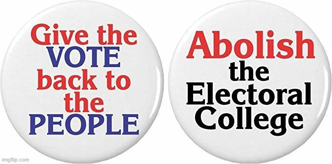 Cringing @ E.C. | image tagged in abolish the electoral college | made w/ Imgflip meme maker