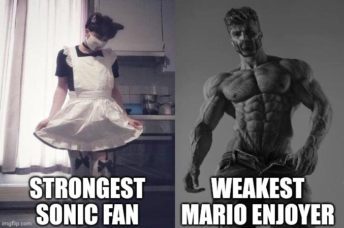 Strongest Fan VS Weakest Fan | STRONGEST SONIC FAN; WEAKEST MARIO ENJOYER | image tagged in strongest fan vs weakest fan | made w/ Imgflip meme maker
