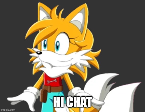 HI CHAT | image tagged in tailsko | made w/ Imgflip meme maker