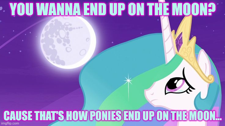 YOU WANNA END UP ON THE MOON? CAUSE THAT'S HOW PONIES END UP ON THE MOON... | made w/ Imgflip meme maker