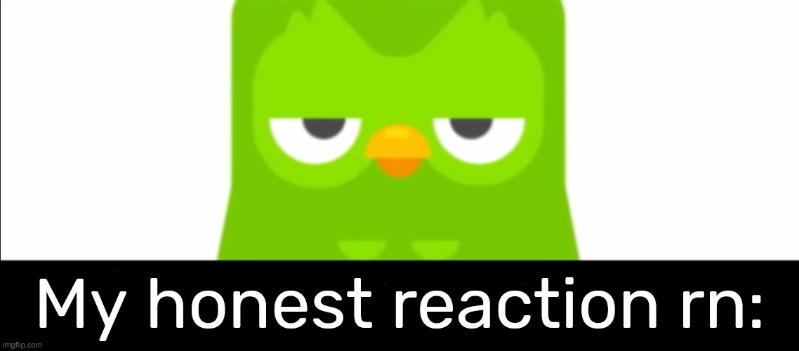Duolingo was unimpressed | My honest reaction rn: | image tagged in duolingo was unimpressed | made w/ Imgflip meme maker