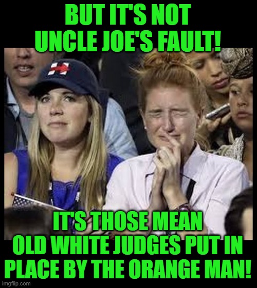 Crying liberals  | BUT IT'S NOT UNCLE JOE'S FAULT! IT'S THOSE MEAN OLD WHITE JUDGES PUT IN PLACE BY THE ORANGE MAN! | image tagged in crying liberals | made w/ Imgflip meme maker