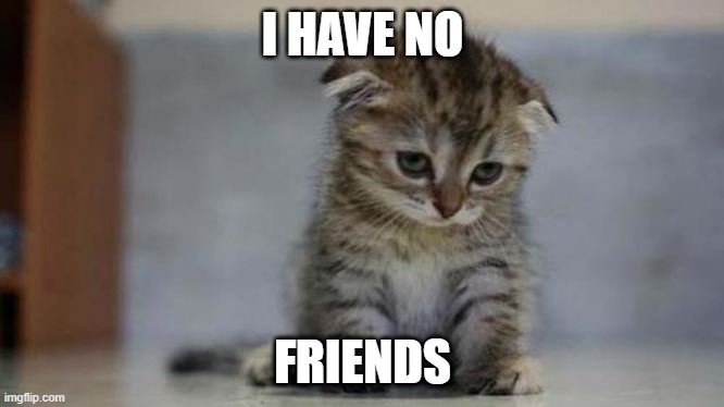 Sad kitten | I HAVE NO; FRIENDS | image tagged in sad kitten | made w/ Imgflip meme maker