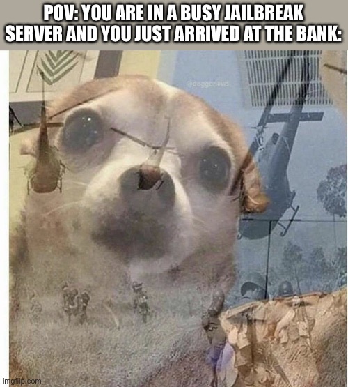 Ahh… So Much Gunshots, Arresting, & Camping | POV: YOU ARE IN A BUSY JAILBREAK SERVER AND YOU JUST ARRIVED AT THE BANK: | image tagged in ptsd chihuahua,memes,bank,jailbreak,roblox,roblox meme | made w/ Imgflip meme maker