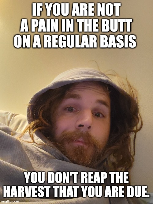 Social Clauses | IF YOU ARE NOT A PAIN IN THE BUTT ON A REGULAR BASIS; YOU DON'T REAP THE HARVEST THAT YOU ARE DUE. | image tagged in motivation,work,spirituality,balance,society,hard work | made w/ Imgflip meme maker
