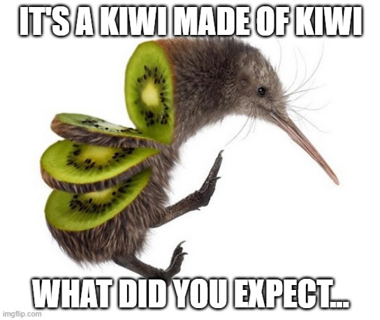 kiwiwiwiwiwiwiwiwiwiwi | IT'S A KIWI MADE OF KIWI; WHAT DID YOU EXPECT... | image tagged in kiwi,meme,funny,funny mem,funny meme | made w/ Imgflip meme maker