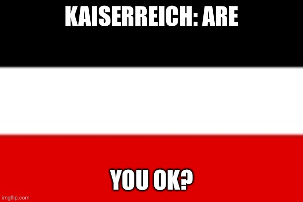 KAISERREICH: ARE YOU OK? | made w/ Imgflip meme maker