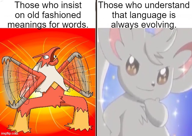 Words change over time. | Those who insist
on old fashioned
meanings for words. Those who understand
that language is
always evolving. | image tagged in average fan vs average enjoyer pokemon,definition,the future is now old man | made w/ Imgflip meme maker