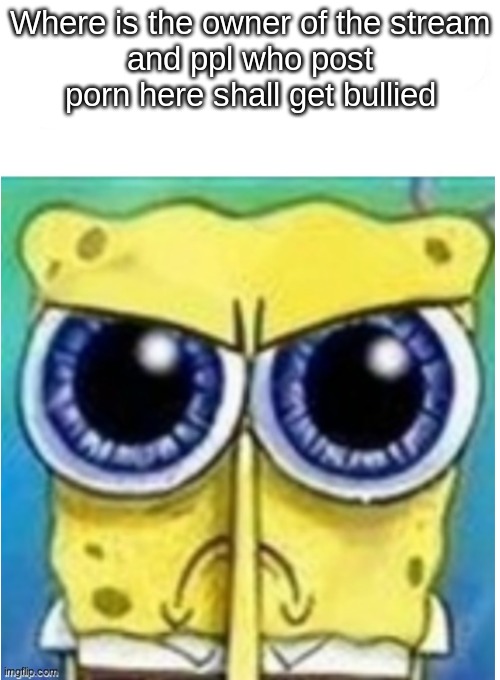 anyone agrees? | Where is the owner of the stream
and ppl who post porn here shall get bullied | image tagged in angry spongebob blank | made w/ Imgflip meme maker