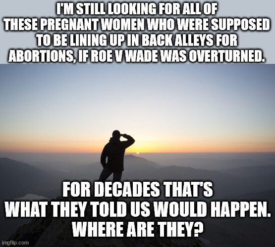 Roe v Wade found abortion rights in 14th amendment.  Was that it this part: "nor shall any State deprive any person of life..." | I'M STILL LOOKING FOR ALL OF THESE PREGNANT WOMEN WHO WERE SUPPOSED TO BE LINING UP IN BACK ALLEYS FOR ABORTIONS, IF ROE V WADE WAS OVERTURNED. FOR DECADES THAT'S WHAT THEY TOLD US WOULD HAPPEN.
WHERE ARE THEY? | image tagged in there is no right to abortion,there never was,roe v wade was a fraudelent case | made w/ Imgflip meme maker