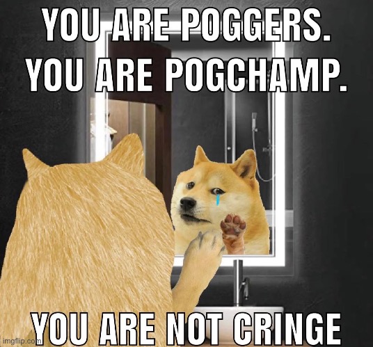Stay poggers. | image tagged in memes,funny,memories,doge | made w/ Imgflip meme maker