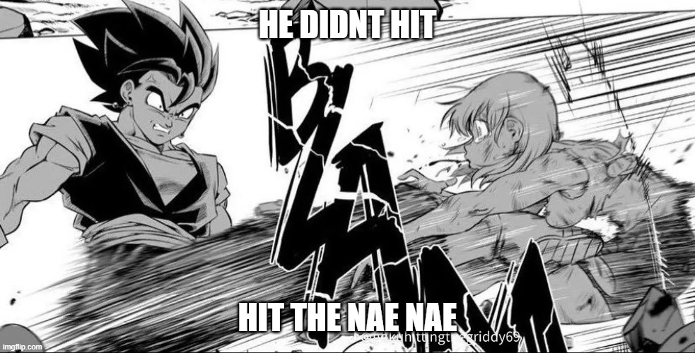 nae nae before you get a wooping | HE DIDNT HIT; HIT THE NAE NAE | image tagged in dragon ball z | made w/ Imgflip meme maker