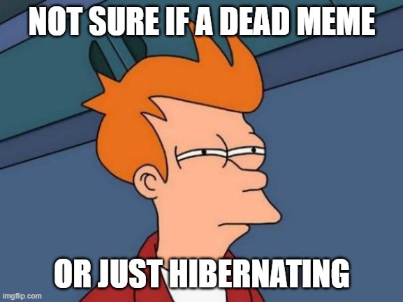 I don't really know | NOT SURE IF A DEAD MEME; OR JUST HIBERNATING | image tagged in memes,futurama fry | made w/ Imgflip meme maker