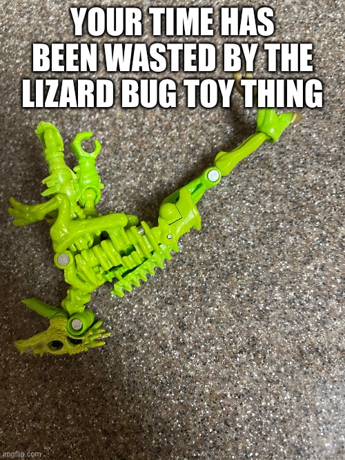YOUR TIME HAS BEEN WASTED BY THE LIZARD BUG TOY THING | image tagged in tag | made w/ Imgflip meme maker