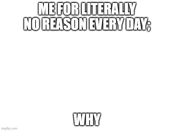 ME FOR LITERALLY NO REASON EVERY DAY;; WHY | made w/ Imgflip meme maker