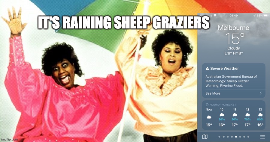 It's raining sheep graziers | IT'S RAINING SHEEP GRAZIERS | image tagged in raining men | made w/ Imgflip meme maker