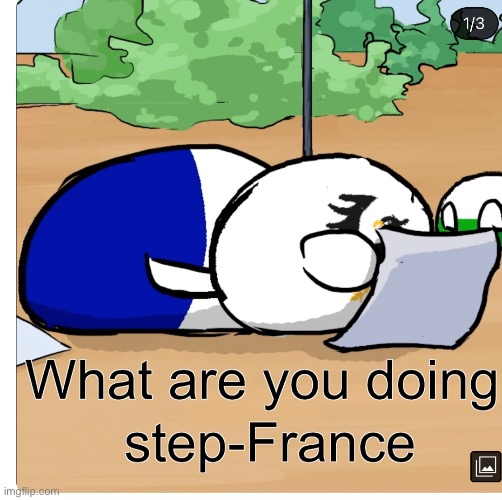 Bonjour, mon… | image tagged in step france | made w/ Imgflip meme maker