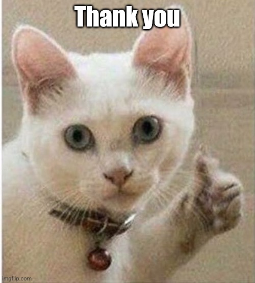 Cat thumbs up | Thank you | image tagged in cat thumbs up | made w/ Imgflip meme maker