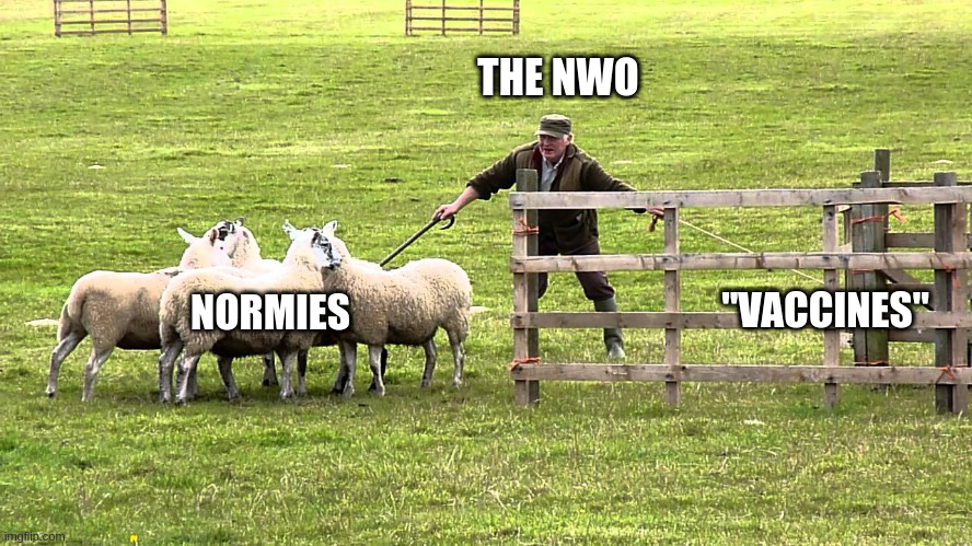 Sheep Pen | THE NWO; "VACCINES"; NORMIES | made w/ Imgflip meme maker