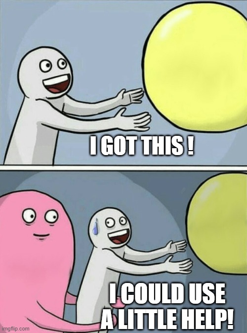 Catching Balloon | I GOT THIS ! I COULD USE A LITTLE HELP! | image tagged in memes,running away balloon | made w/ Imgflip meme maker